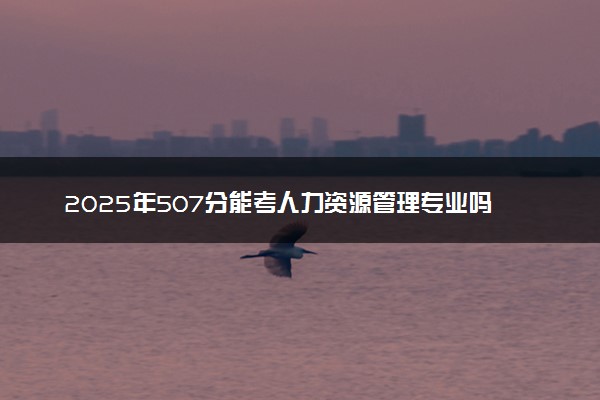 2025年507分能考人力资源管理专业吗 507分人力资源管理专业大学推荐