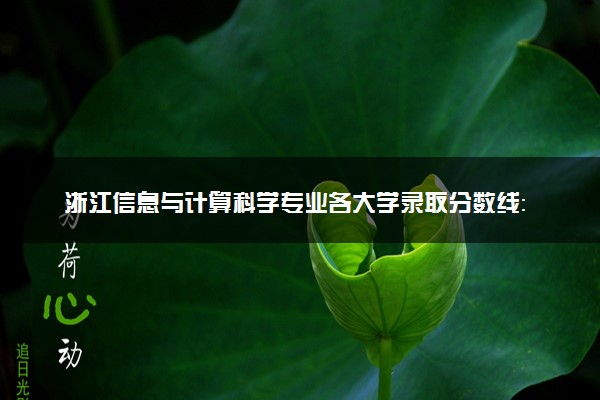 浙江信息与计算科学专业各大学录取分数线：最低467分能上 开设院校及位次