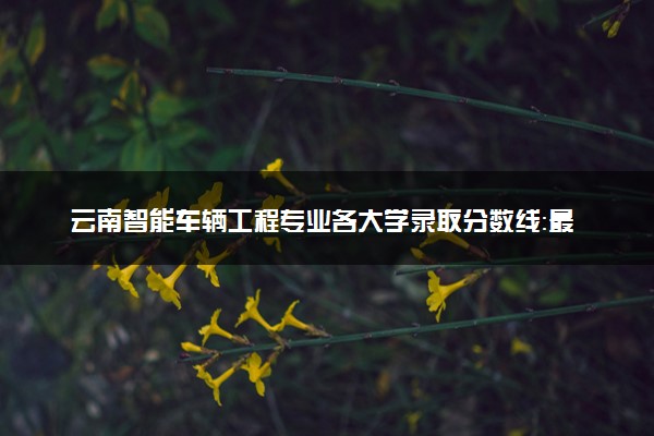 云南智能车辆工程专业各大学录取分数线：最低424分能上 开设院校及位次