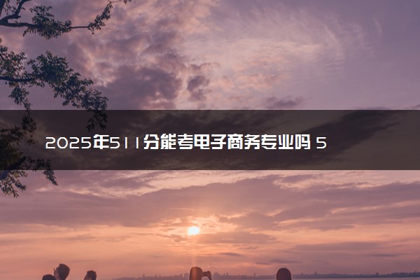 2025年511分能考电子商务专业吗 511分电子商务专业大学推荐