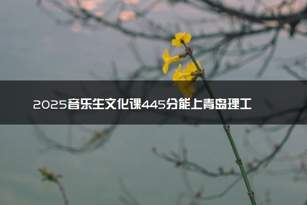 2025音乐生文化课445分能上青岛理工大学吗