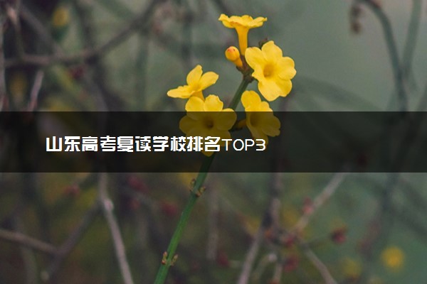山东高考复读学校排名TOP3