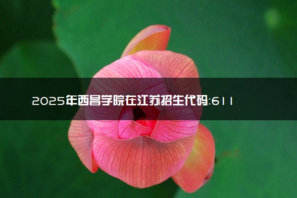 2025年西昌学院在江苏招生代码：6117 专业代码及报考指南