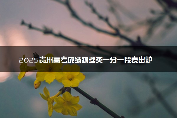 2025贵州高考成绩物理类一分一段表出炉 最新位次排名