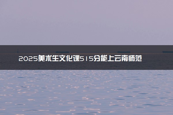 2025美术生文化课515分能上云南师范大学吗