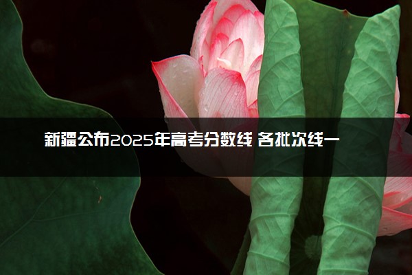 新疆公布2025年高考分数线 各批次线一览表汇总