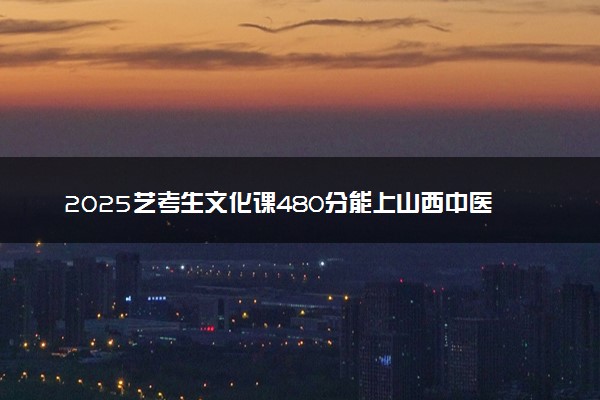 2025艺考生文化课480分能上山西中医药大学吗