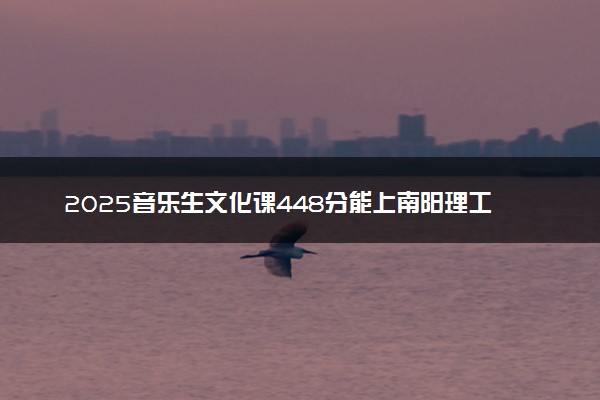 2025音乐生文化课448分能上南阳理工学院吗