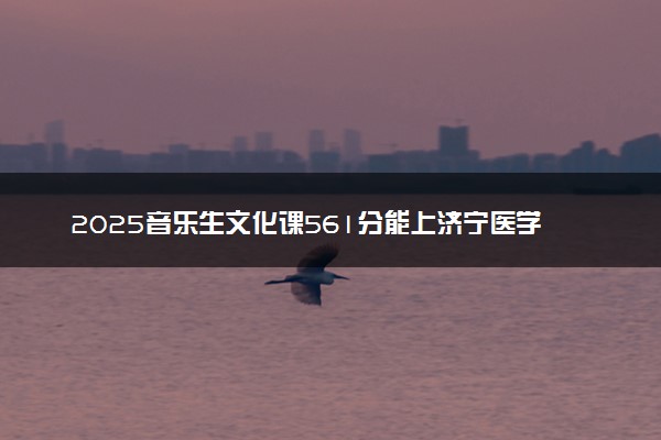 2025音乐生文化课561分能上济宁医学院吗