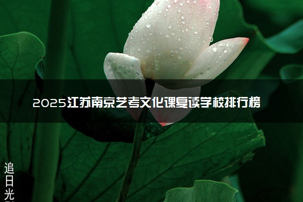 2025江苏南京艺考文化课复读学校排行榜