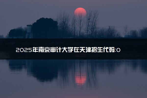 2025年南京审计大学在天津招生代码：0862 专业代码及报考指南