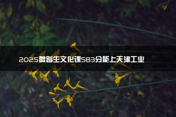 2025舞蹈生文化课583分能上天津工业大学吗