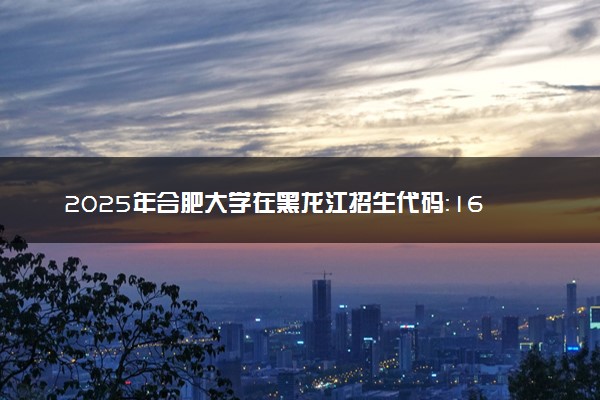 2025年合肥大学在黑龙江招生代码：1678 专业代码及报考指南