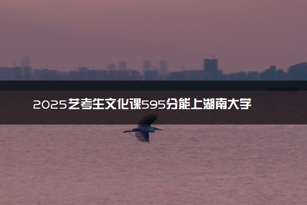 2025艺考生文化课595分能上湖南大学吗