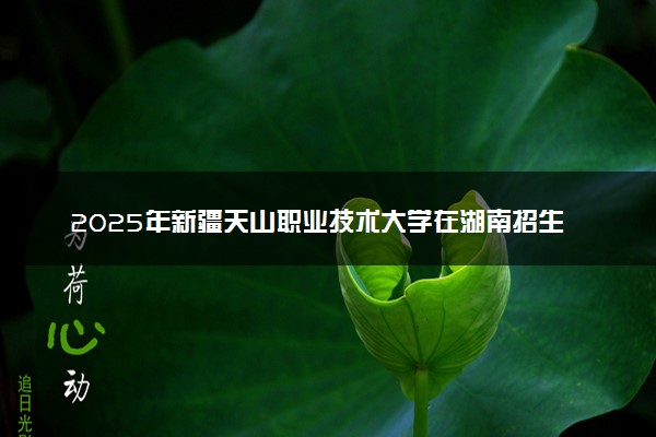 2025年新疆天山职业技术大学在湖南招生代码：6532 专业代码及报考指南