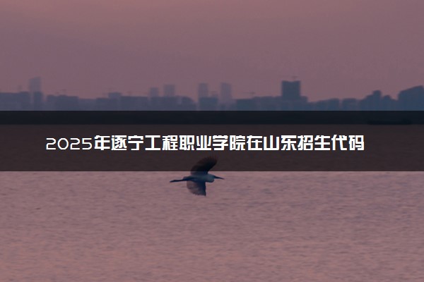 2025年遂宁工程职业学院在山东招生代码：E835 专业代码及报考指南