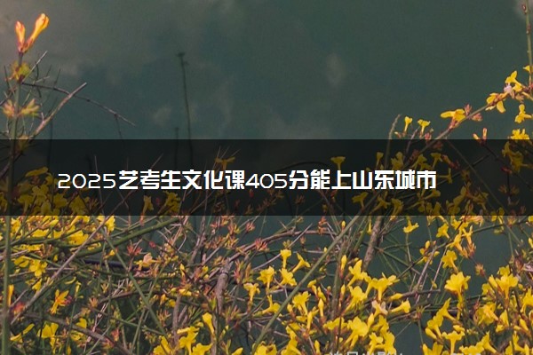 2025艺考生文化课405分能上山东城市建设职业学院吗