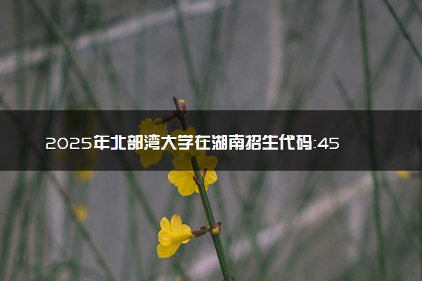 2025年北部湾大学在湖南招生代码：4540 专业代码及报考指南