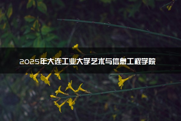 2025年大连工业大学艺术与信息工程学院在四川招生代码：2197 专业代码及报考指南