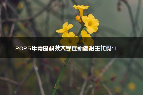 2025年青岛科技大学在新疆招生代码：1331 专业代码及报考指南