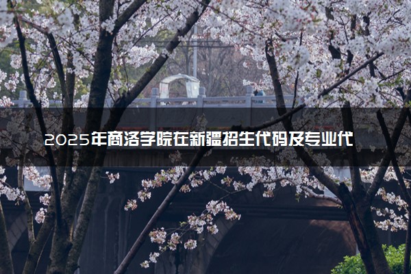 2025年商洛学院在新疆招生代码及专业代码 商洛学院新疆代码是多少？怎么查询？