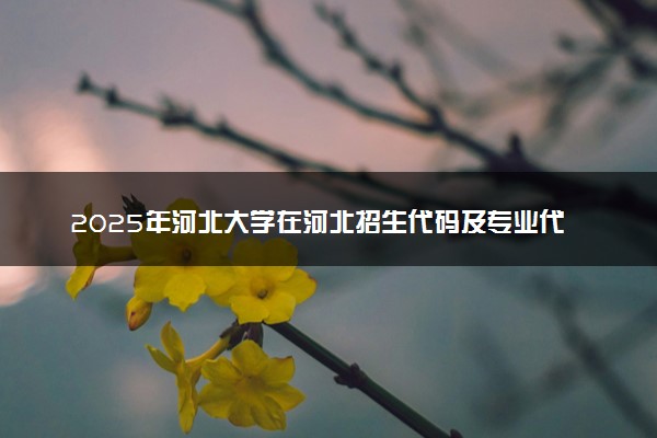 2025年河北大学在河北招生代码及专业代码 河北大学河北代码是多少？怎么查询？