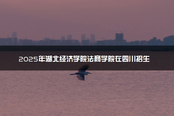 2025年湖北经济学院法商学院在四川招生代码及专业代码 湖北经济学院法商学院四川代码是多少？怎么查询？