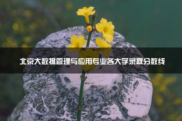北京大数据管理与应用专业各大学录取分数线：最低467分能上 开设院校及位次