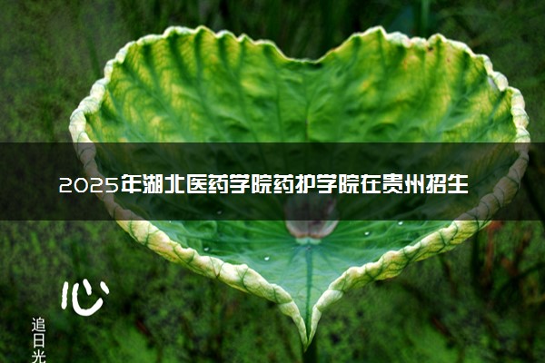 2025年湖北医药学院药护学院在贵州招生代码：1066 专业代码及报考指南