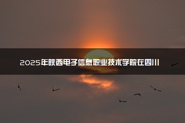 2025年陕西电子信息职业技术学院在四川招生代码及专业代码 陕西电子信息职业技术学院四川代码是多少？怎么查询？