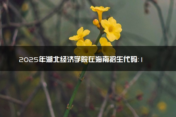 2025年湖北经济学院在海南招生代码：1754 专业代码及报考指南