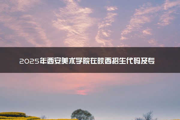 2025年西安美术学院在陕西招生代码及专业代码 西安美术学院陕西代码是多少？怎么查询？