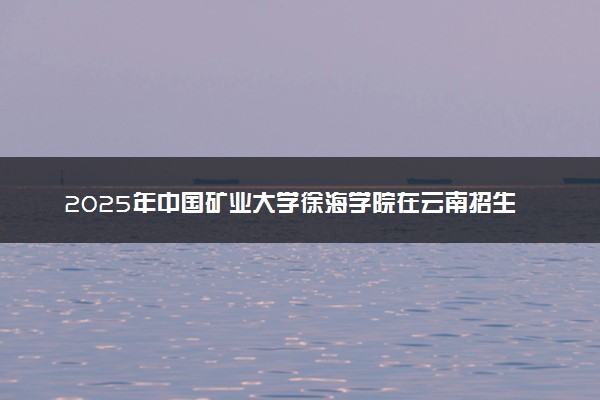 2025年中国矿业大学徐海学院在云南招生代码及专业代码 中国矿业大学徐海学院云南代码是多少？怎么查询？