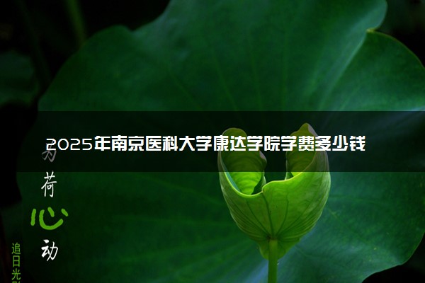 2025年南京医科大学康达学院学费多少钱一年及各专业收费标准一览表