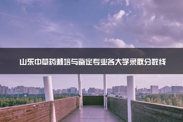 山东中草药栽培与鉴定专业各大学录取分数线：最低476分能上 开设院校及位次