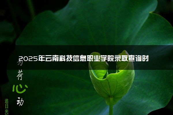 2025年云南科技信息职业学院录取查询时间方式网址及奖学金设置 录取结果一般什么时候公布