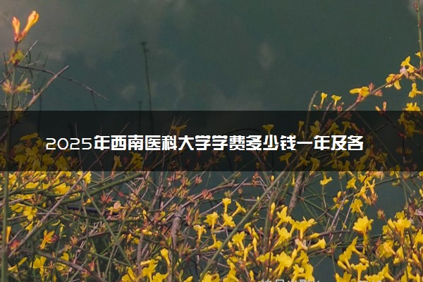 2025年西南医科大学学费多少钱一年及各专业收费标准一览表