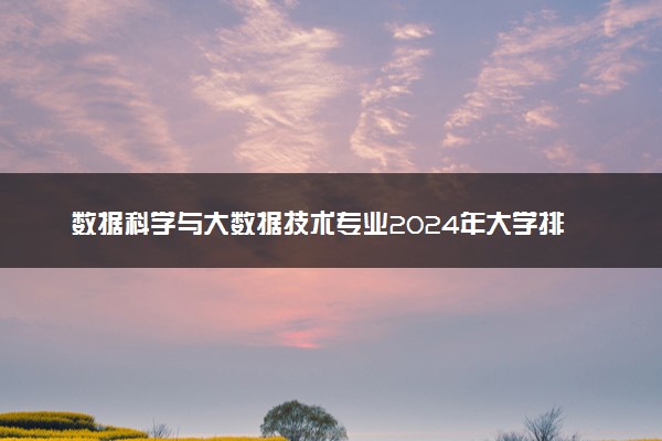 数据科学与大数据技术专业2024年大学排名 最好的大学排行榜