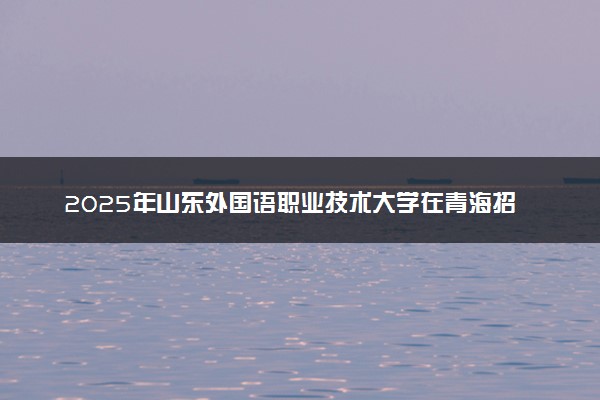 2025年山东外国语职业技术大学在青海招生代码：3746 专业代码及报考指南