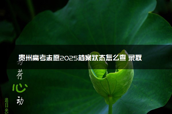 贵州高考志愿2025档案状态怎么查 录取结果查询方法