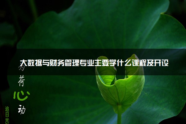 大数据与财务管理专业主要学什么课程及开设院校 毕业后能干什么工作