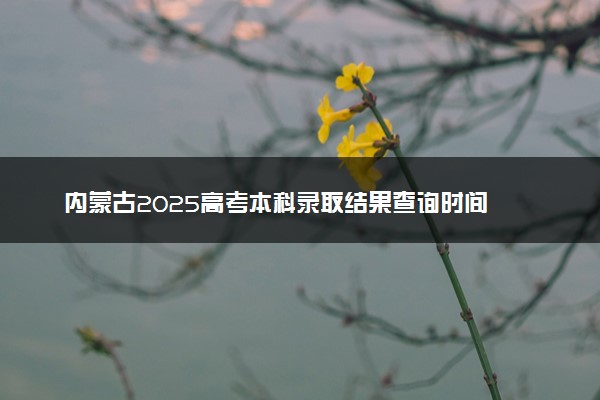 内蒙古2025高考本科录取结果查询时间 附入口及录取状态查询方法