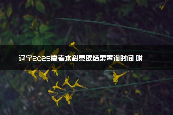 辽宁2025高考本科录取结果查询时间 附入口及录取状态查询方法