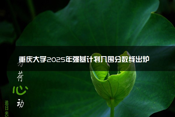 重庆大学2025年强基计划入围分数线出炉 各省分数线汇总