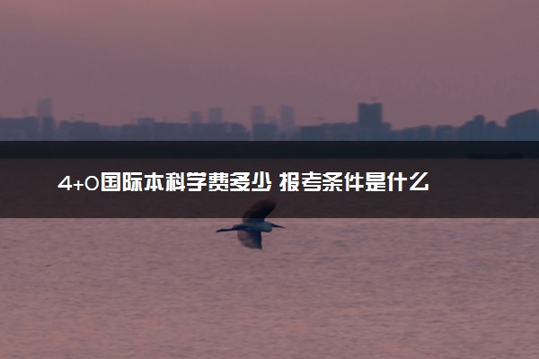 4+0国际本科学费多少 报考条件是什么