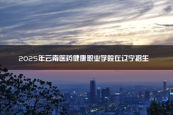 2025年云南医药健康职业学院在辽宁招生代码：4649 专业代码及报考指南