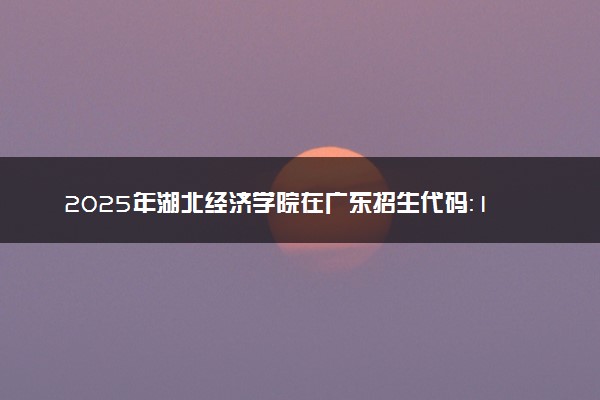 2025年湖北经济学院在广东招生代码：11600 专业代码及报考指南