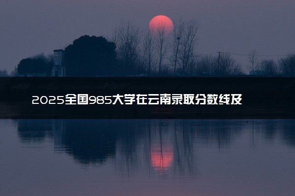 2025全国985大学在云南录取分数线及位次排名