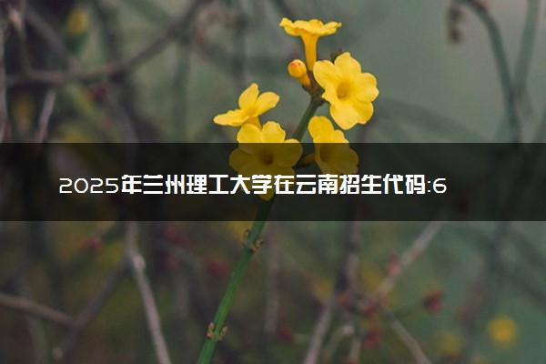 2025年兰州理工大学在云南招生代码：6202 专业代码及报考指南
