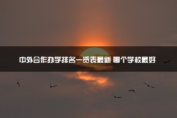 中外合作办学排名一览表最新 哪个学校最好